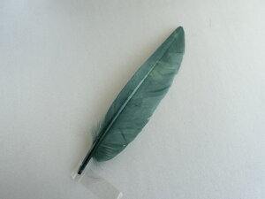 Jbgi^AbVO[@p̉H 1{15-20cmyANZT[ p[c HzytFU[ |zy[ցzyANZT グz