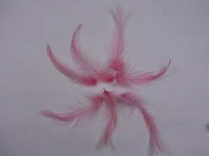 H  T[sNF H p̉H yANZT[ p[c H | ANZT tFU[ グzy[։\zH  H | H r[Y H Xq@h[Lb`