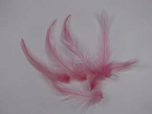 H  Cbh p̉H 20{yANZT[ p[c H | Feather tFU[ Ntgzy[։\zH  H | H r[Y H Xq@h[Lb`[