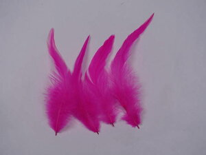 L@p[VsN 12-16cm 10{@p̉H sN̉HyANZT[ p[c H | ANZT グ tFU[zy[ցzHhXߑ@ߑ@_Xߑ @X