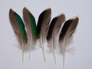 H O[ 4-6cm 5{@p̉H ANZT[ p[c H | ANZT グ tFU[y[ցzH  H | H r[Y H Xq