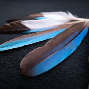 AIVEr@5{@p H y[ցzytFU[ CfBA | CO ANZT[ JZ~ VRH p[c _Xߑ@|Cg H Hz