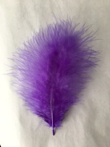 H tbg TL H  H  H@r[Y@ Vg̉H@H@fBXvC H GWFV[ H@ANZT[@H wbghX@H@RT[Wy[ցz