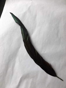 y[։\zH@30-35cmypzytFU[ ANZT[ p[c H | ANZT グ HzHhXߑ@ߑ@_Xߑ @Xq