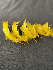 H V}уS[h@2@3yp̉HzytFU[ ANZT[ p[c H | ANZT グzy[ցzH  H | H r[Y H Xq@h[Lb`