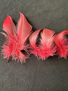 H V}ѐԁ@2@3yp̉HzytFU[ ANZT[ p[c H | ANZT グzy[ցzH  H | H r[Y H Xq@h[Lb`[