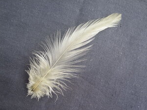 H  I[uF H 20{ 10-15cm p̉H yANZT[ p[c H tFU[ | ANZT グzy[ցzH  H | H r[Y H Xq@h[Lb`