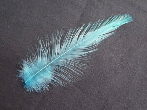 H  ^[RCYu[H 20{ 10-15cm p̉H yANZT[ p[c H | ANZT tFU[zy[ցzH  H | H r[Y H Xq@h[Lb`[