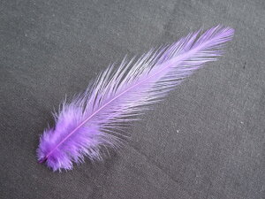 H  p[vH 20{ 10-15cm p̉H ytFU[ ANZT[ p[c H | ANZT グzy[ցzH  H | H r[Y H Xq@h[Lb`[