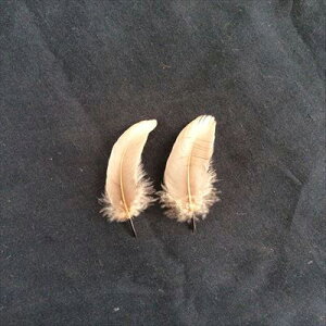 羽根 車 小羽根 (ブロンF-GD) 10本 【装飾用】【フェザー 羽根】【アクセサリー パーツ 羽 手芸 アクセサリ しゅげい】羽 ブローチ 羽 飾り羽 コサージュ 羽 イヤリング(メール便可能)