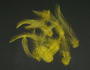 H  CG[ p̉H 20{yANZT[ p[c H tFU[ | ANZT F̉Hzy[ցzH  H | H r[Y H Xq@h[Lb`[