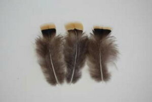 LPCH F 10 4-6cm yANZT[ p[c H | H tFU[ ANZT グzy[ցz
