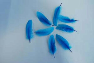 H@ H iu[j10{@ypzyHzH u[` H H RT[W H COi[։\j