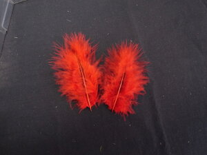 H tbg  H  H  H@r[Y@ Vg̉H@H@fBXvC H GWFV[ H@ANZT[@H wbghX@H@RT[W