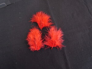 H tbg H  H  H@r[Y@ Vg̉H@H@fBXvC H GWFV[ H@ANZT[@H wbghX@H@RT[Wy[ցz