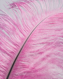 I[Xgb`T[sN 2{y[ցzyH ehX \VA_X _Xߑ@CfBA lCeBuAJ _T[@fR[Vz HfBXvCAA