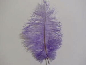 I[Xgb` @p[v 2{ setyANZT[ p[c HzytFU[ |zyANZT グzy[ցz