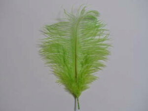 I[Xgb` @L~h2{ setyANZT[ p[c HzytFU[ |zyANZT グz