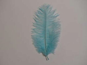 I[Xgb` @^[RCYu[y2{ set ANZT[ p[c HzytFU[ |zyANZT グzy[ցz