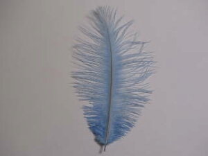 I[Xgb` @2{ u[O[[yANZT[ p[c HzytFU[ |zyANZT グzy[ցz