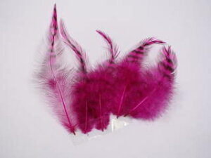 u[X@Cbh@5{yANZT[ p[c HzytFU[ |zyANZT グzy[ցz