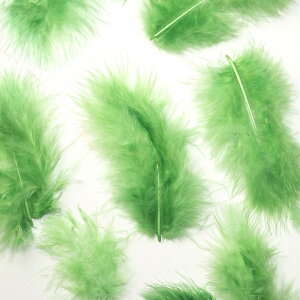 H tbgO[ H  H  H@r[Y@ Vg̉H@H@fBXvC H GWFV[ H@ANZT[@H wbghX@H@RT[Wy[ցz