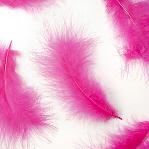 H tbgsN 5g H  H  H@r[Y@ Vg̉H@H@fBXvC H GWFV[ H@ANZT[@H wbghX@H@RT[Wy[ցz