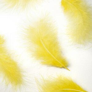 H tbg F H  H  H@r[Y@ Vg̉H@H@fBXvC H GWFV[ H@ANZT[@H wbghX@H@RT[Wy[ցz
