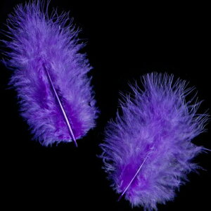 H tbg H  H  H@r[Y@ Vg̉H@H@fBXvC H GWFV[ H@ANZT[@H wbghX@H@RT[W