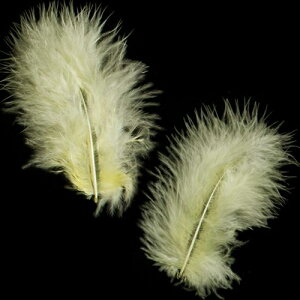 H tbg F H  H  H@r[Y@ Vg̉H@H@fBXvC H GWFV[ H@ANZT[@H wbghX@H@RT[W