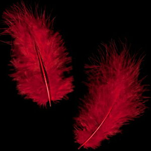 H tbg  H  H  H@r[Y@ Vg̉H@H@fBXvC H GWFV[ H@ANZT[@H wbghX@H@RT[Wy[ցz