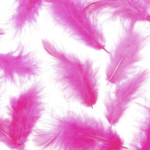 H tbgsN H  H  H@r[Y@ Vg̉H@H@fBXvC H GWFV[ H@ANZT[@H wbghX@H@RT[Wy[ցz