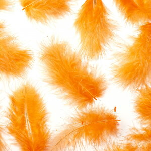 H tbg IW H  H  H@r[Y@ Vg̉H@H@fBXvC H GWFV[ H@ANZT[@H wbghX@H@RT[Wy[ցz
