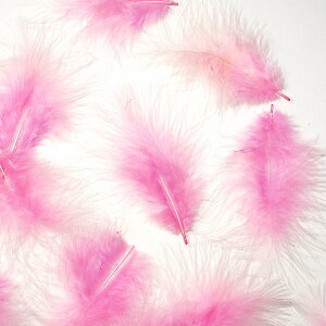 H tbg sN H  H  H@r[Y@ Vg̉H@H@fBXvC H GWFV[ H@ANZT[@H wbghX@H@RT[Wy[ցz