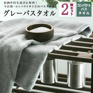 oX^I   O[ 2Zbg RpNg ~joX^I  60×100cm O[^I ܂Ƃߔ [ Vv ze^I zeX^C ^I V X|[c Rbg