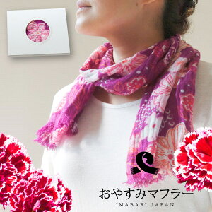 ̓ xĂ߂ v[g Mtg p pI  G Xg[ fB[X  t XJ[t V[ t@bV K[[ Zbg ( {bNX ԃbsOt ) ԕ 2025 