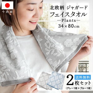  tFCX^I k WK[h ( vc O[ 1 u[1 Zbg ) A  ₷ ܂Ƃߔ tFCX ^I RXp  ^I Mtg  Zbg ӂӂ V