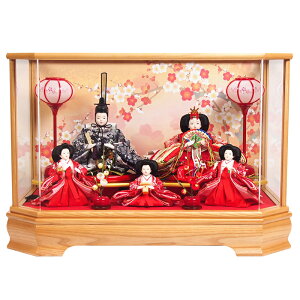 l` ЂȐl`  i` ؐP[X ؖڃP[X AN ܐl 킢 IWifUC  O ؎D IS[t