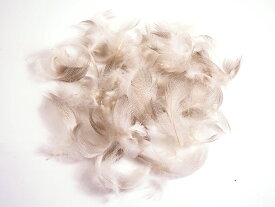 グレイマラード(3g) タイイング 羽根 フライフィッシング 釣り 毛針 毛鉤