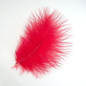 }u[(10{)bh tC^CCO H tCtBbVO ނ ѐj  tC}eA