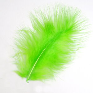 }u[(10{)`[g[X tC^CCO H tCtBbVO ނ ѐj  tC}eA