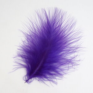 }u[(10{)p[v tC^CCO H tCtBbVO ނ ѐj  tC}eA