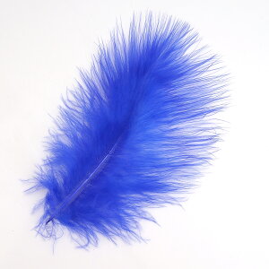 }u[(10{)fB[vu[ tC^CCO H tCtBbVO ނ ѐj  tC}eA