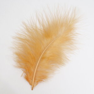 }u[(10{)Vi tC^CCO H tCtBbVO ނ ѐj  tC}eA