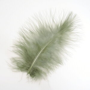 }u[(10{)OCI[u tC^CCO H tCtBbVO ނ ѐj  tC}eA