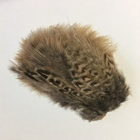 ヘンフェザントチカブー タイイング 羽根 フライフィッシング 釣り 毛針 毛鉤