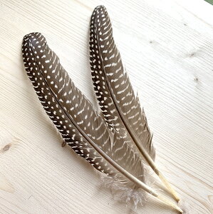 ホロホロ鳥 その他の手芸用品 クラフトの人気商品 通販 価格比較 価格 Com