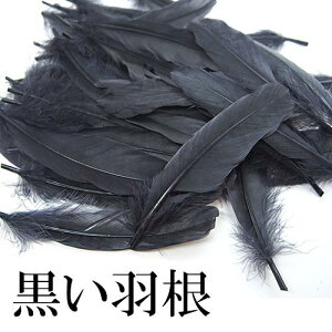 H O[Xz 15{ K`ẺH ď񂾕̉HIANZT[nhChi̍ޗ VR̒̉H AtFU[ A[gtFU[ _[NS