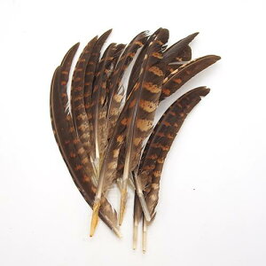 yAEgbgz̉H-RbNE؂H 10{ [071-Qu-N]tFU[p[c H H ޗ f | ANZT[ ԍ t[AWg nEB  _X ߑ RXv L
