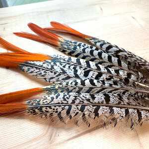 y󂠂zyAEgbgz̉H-MPC̉H 10{ To LWH [u tFU[p[c H H ޗ f | ANZT[ ԍ t[AWg nEB  _X